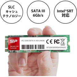 Disque SSD Silicon Power Ace A55 256Go - S-ATA M.2 Type 2280