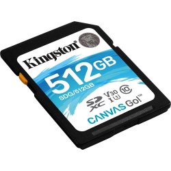 Carte mémoire SD Kingston Canvas Go! - 512Go