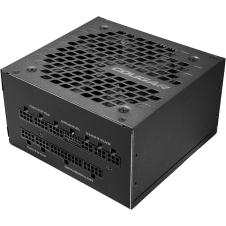 Alimentation ATX Cougar GEX X2 - 1000W (Noir)