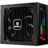 Alimentation ATX Enermax Revolution D.F. X RGB - 1050W (Noir)