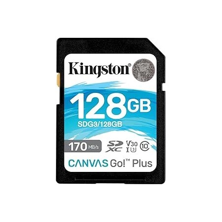 Carte mémoire SD Kingston Canvas Go! Plus - 128Go