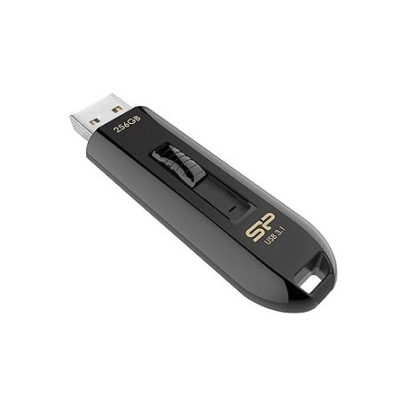 Clé USB 3.2 Silicon Power Blaze B21 - 256Go (Noir)