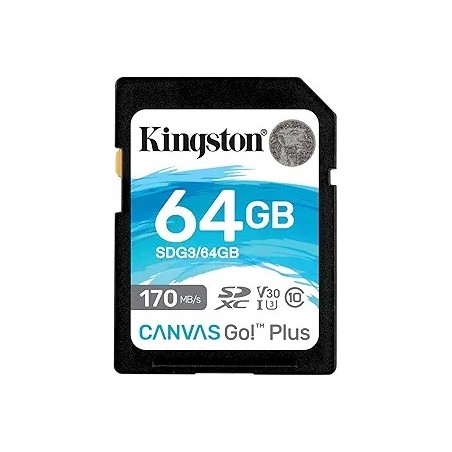 Carte mémoire SD Kingston Canvas Go! Plus - 64Go